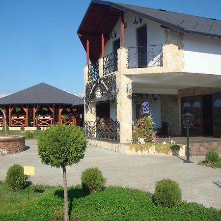 Pension La Taticu Săcălăşeni Extérieur photo
